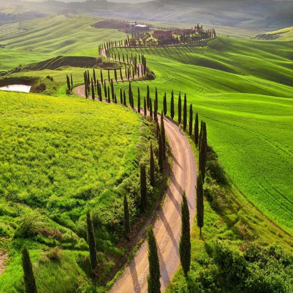 Meet your Posher, Genevieve